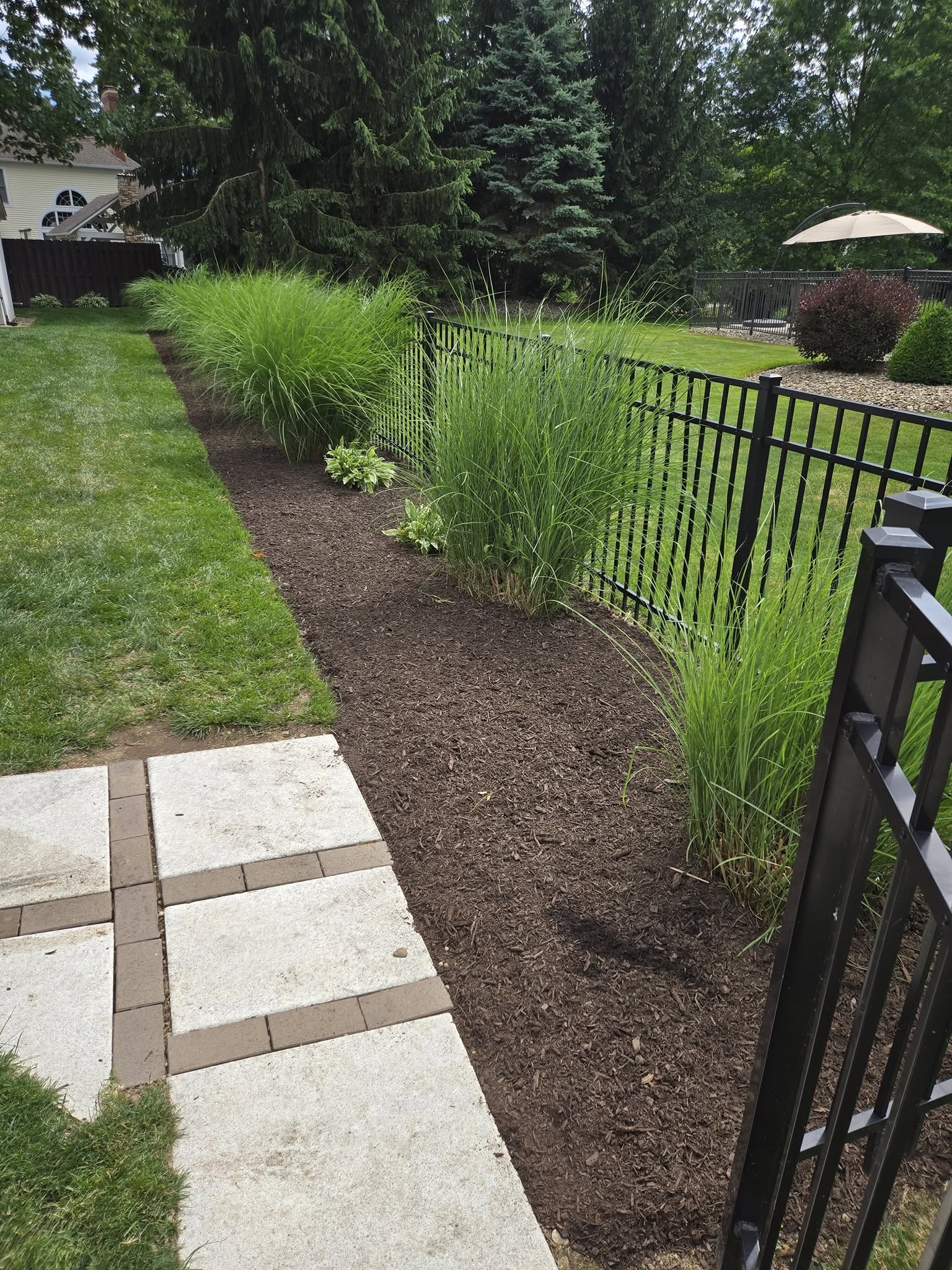 Ornamental Grass Planting