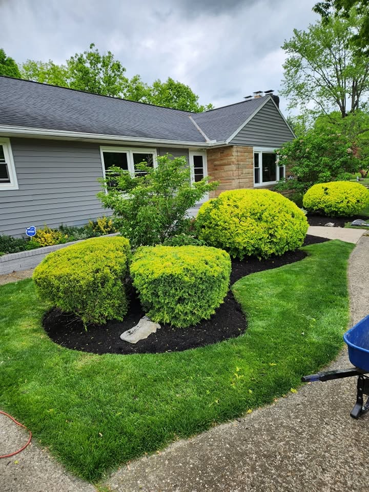 Bush & Hedge Trimming example 2
