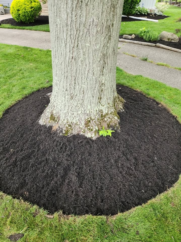 Mulch Installation example 1